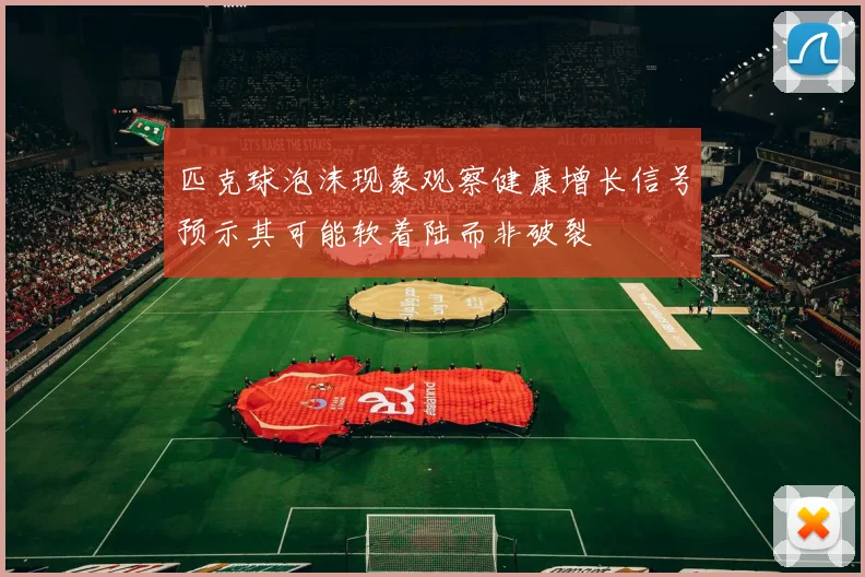 匹克球泡沫现象观察健康增长信号预示其可能软着陆而非破裂