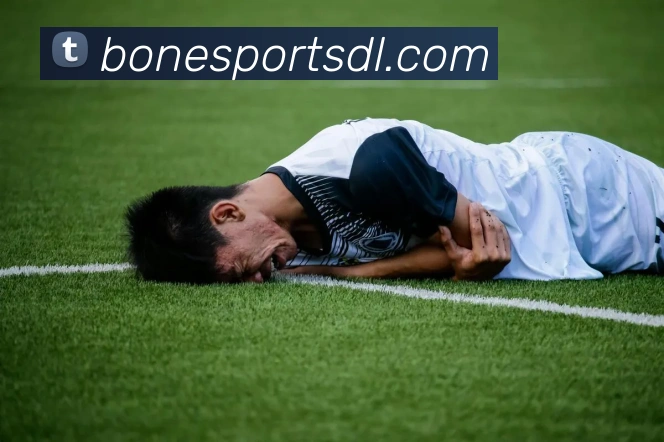 App Interface Preview