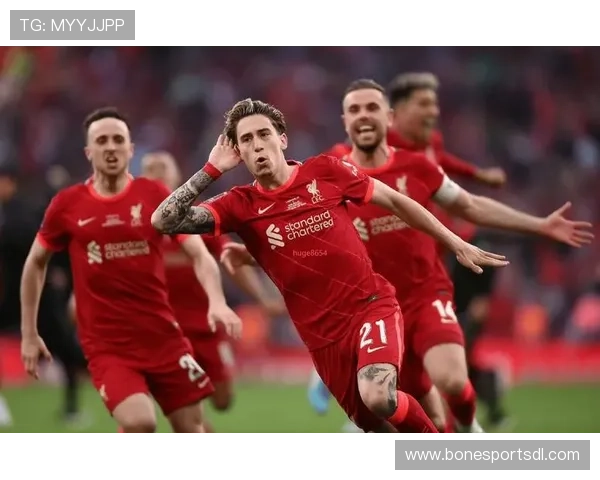 德甲联赛中曾夺得欧冠冠军的球队介绍