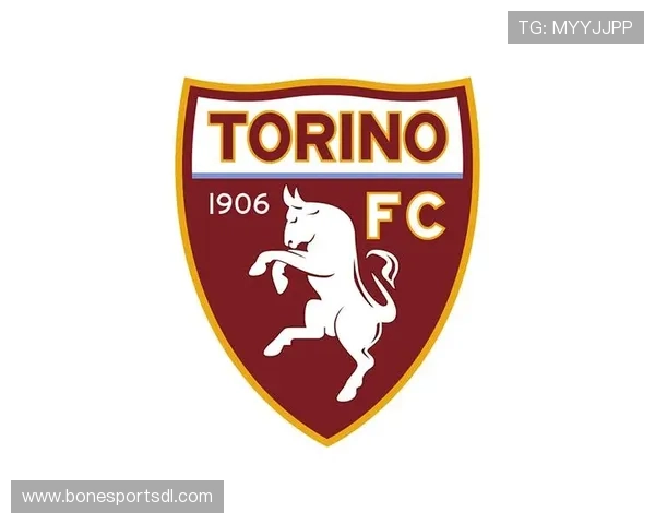 意甲各大球队Logo动画展示与分析